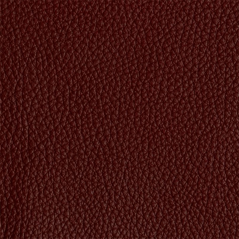 Leather material swatch