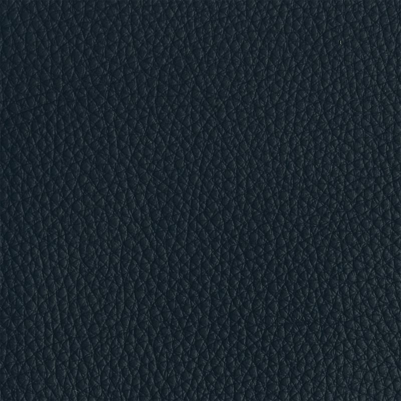 Leather material swatch