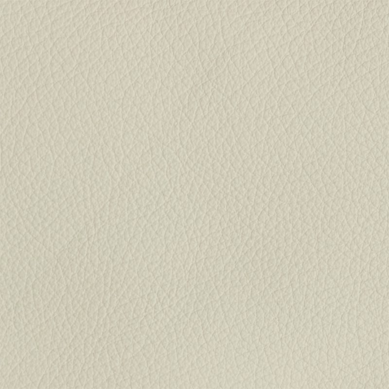 Leather material swatch
