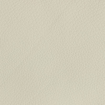 Leather material swatch