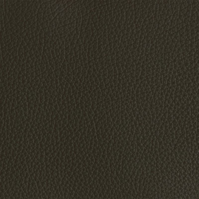 Leather material swatch