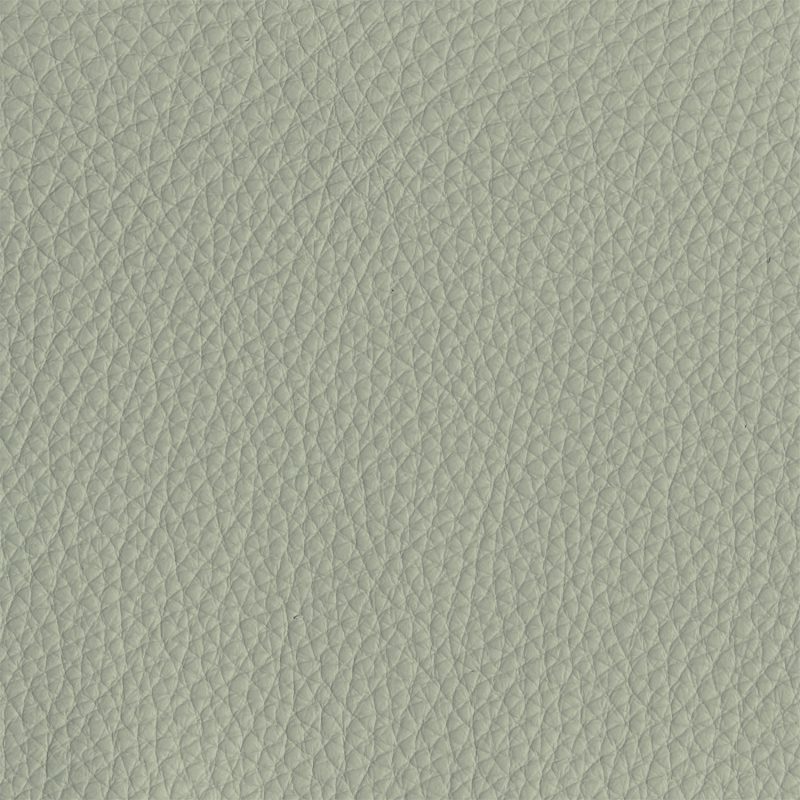 Leather material swatch