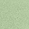 Leather material swatch