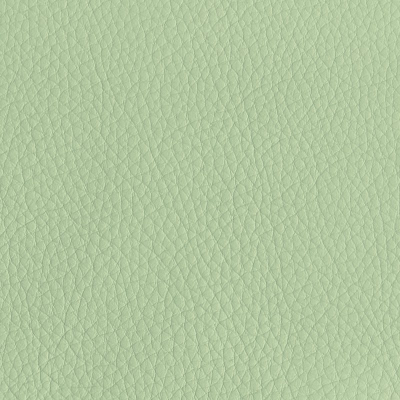 Leather material swatch
