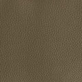 Leather material swatch