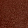 Leather material swatch