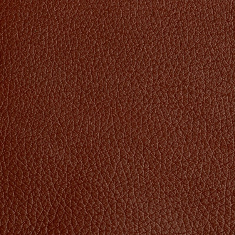 Leather material swatch