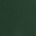 Leather material swatch