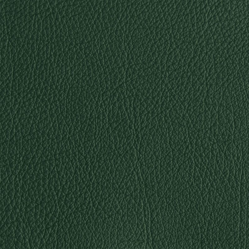 Leather material swatch