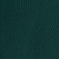 Leather material swatch