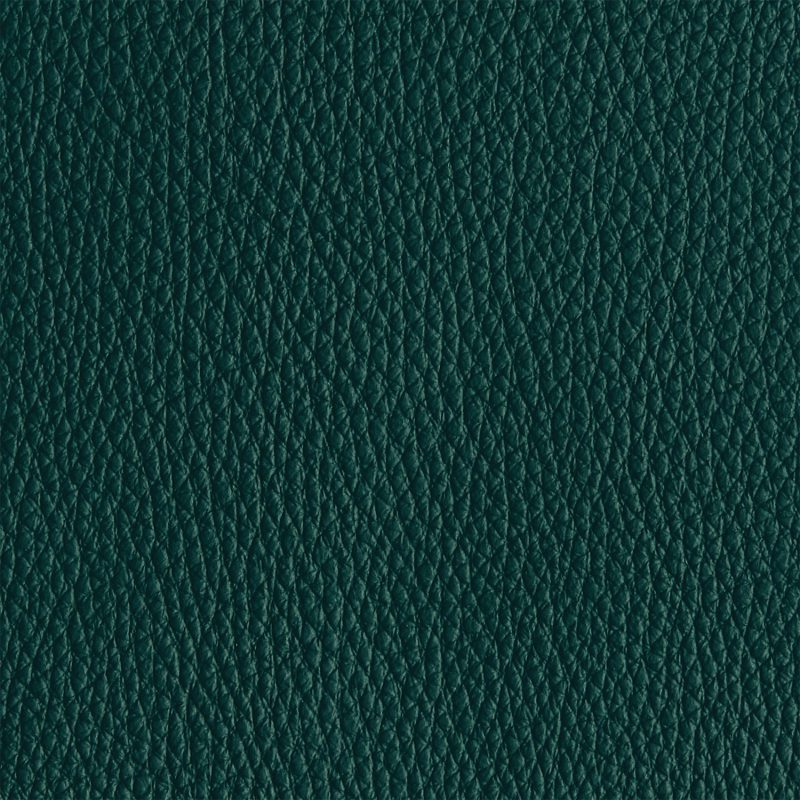 Leather material swatch