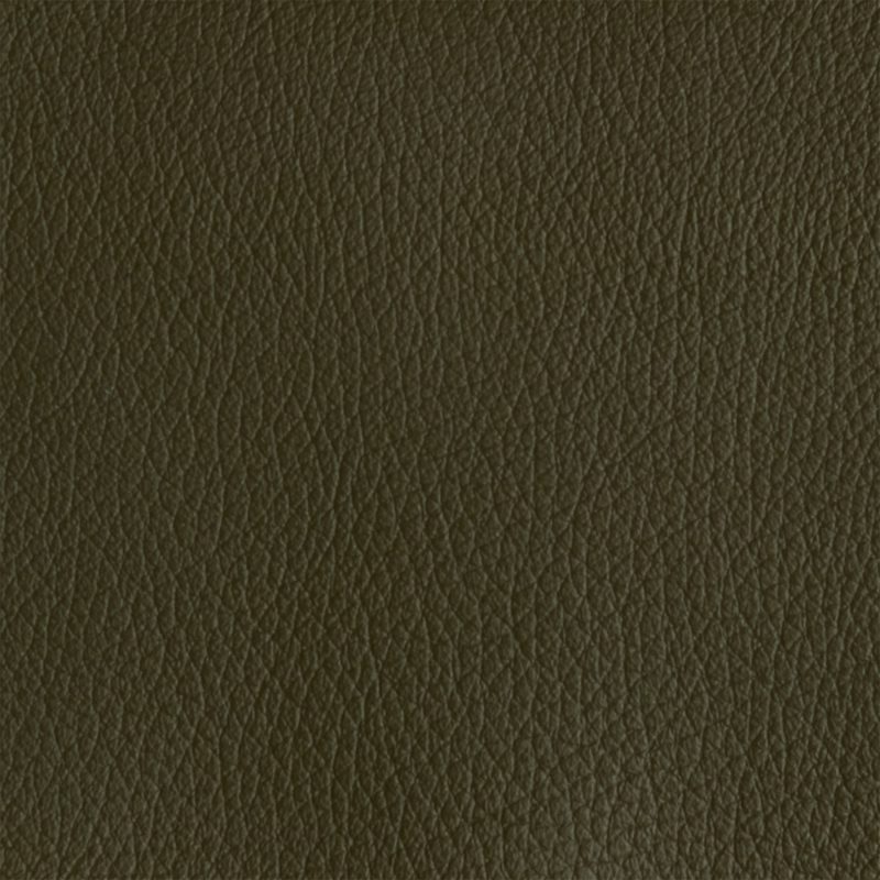 Leather material swatch