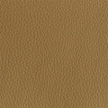 Leather material swatch