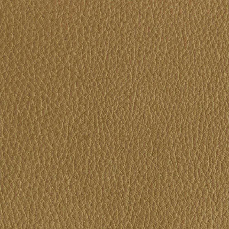 Leather material swatch