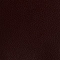 Leather material swatch
