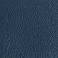 Leather material swatch