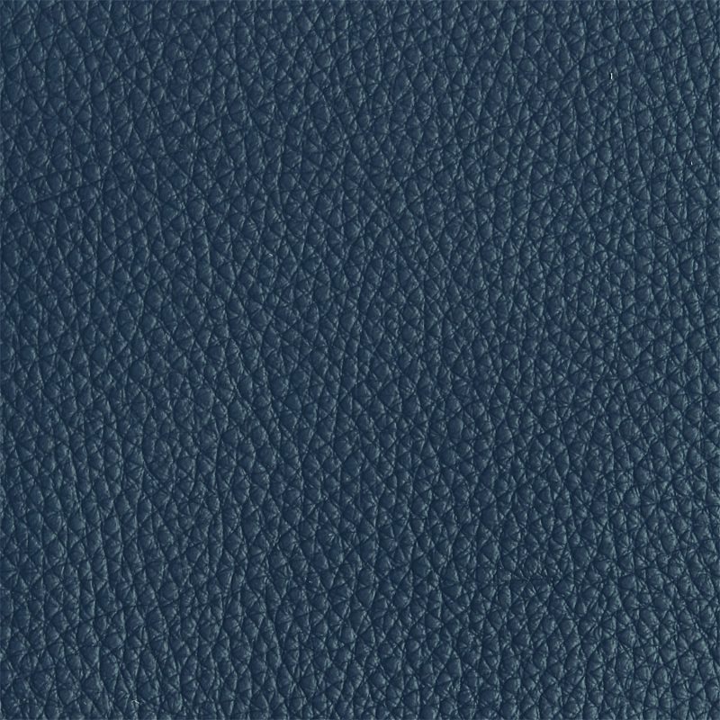 Leather material swatch