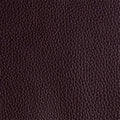 Leather material swatch