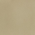 Leather material swatch