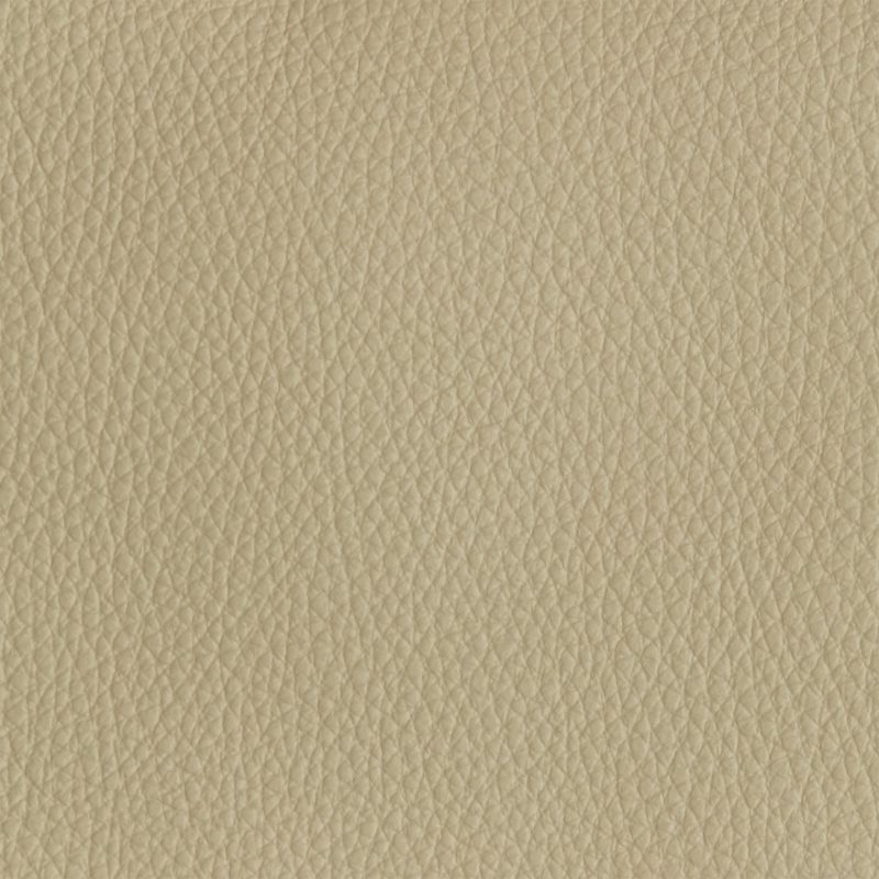 Leather material swatch