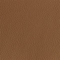 Leather material swatch