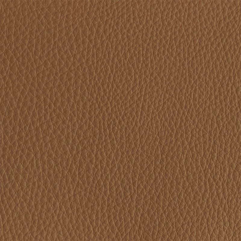Leather material swatch