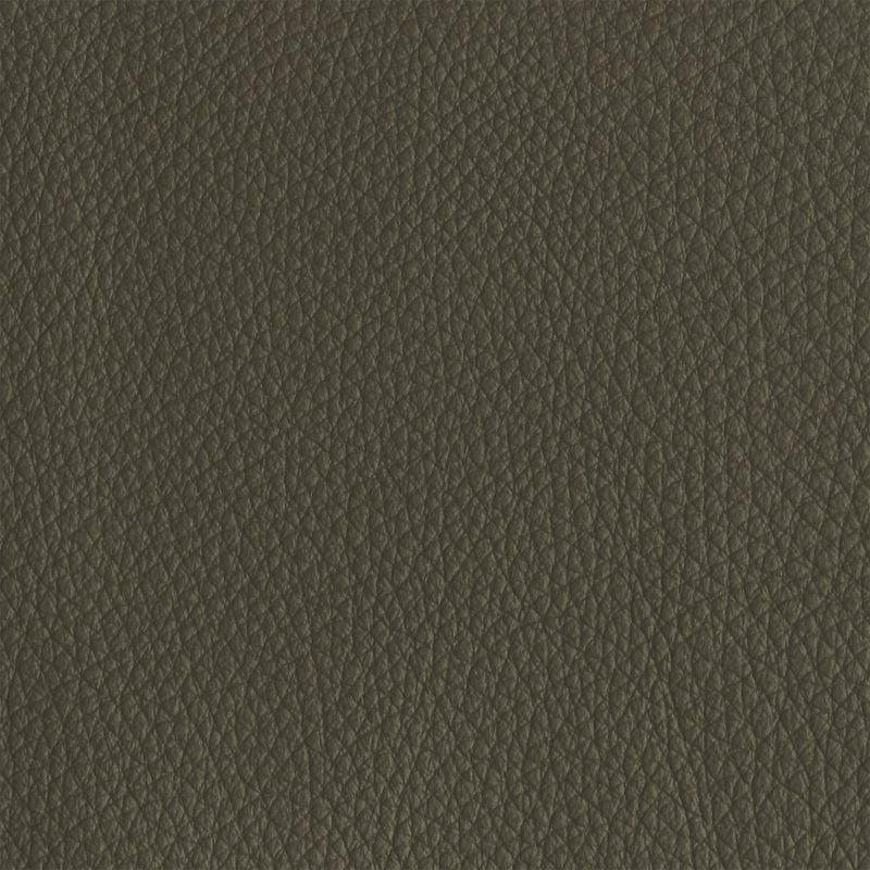 Leather material swatch