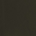 Leather material swatch