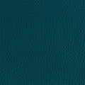 Leather material swatch