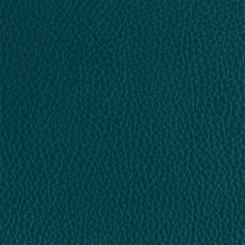 Leather material swatch