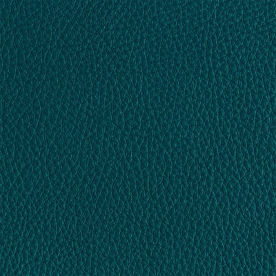 Leather material swatch