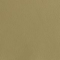 Leather material swatch