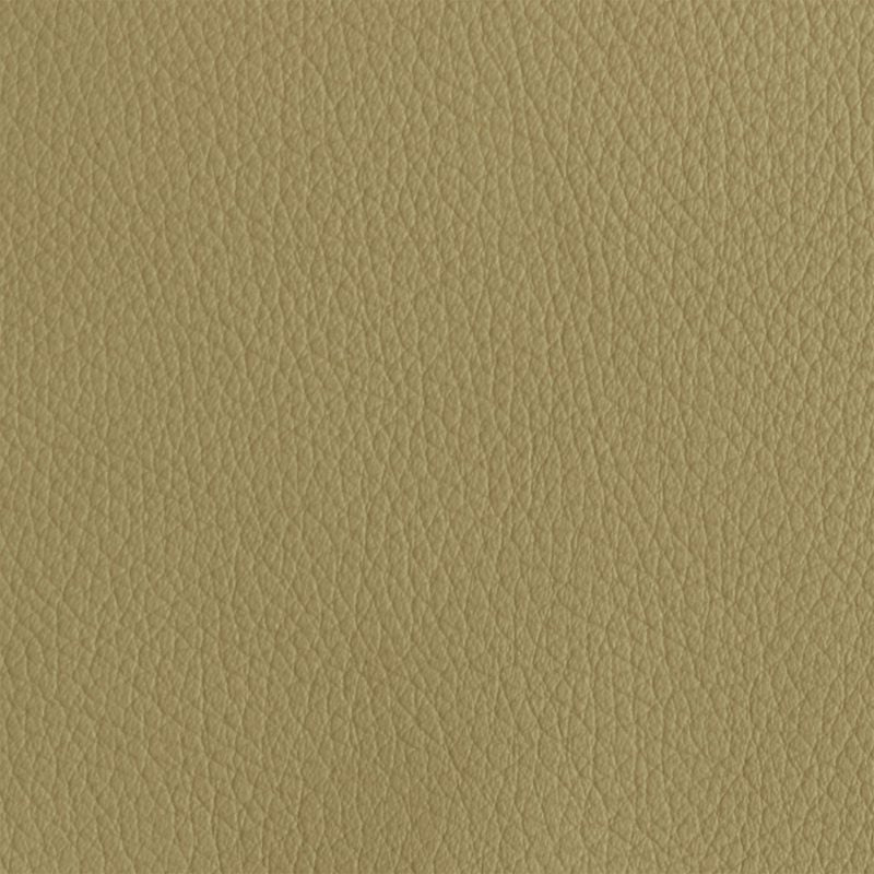 Leather material swatch