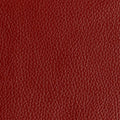 Leather material swatch