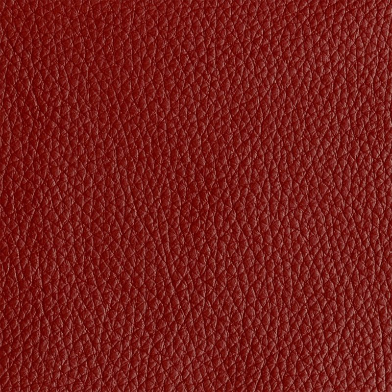 Leather material swatch