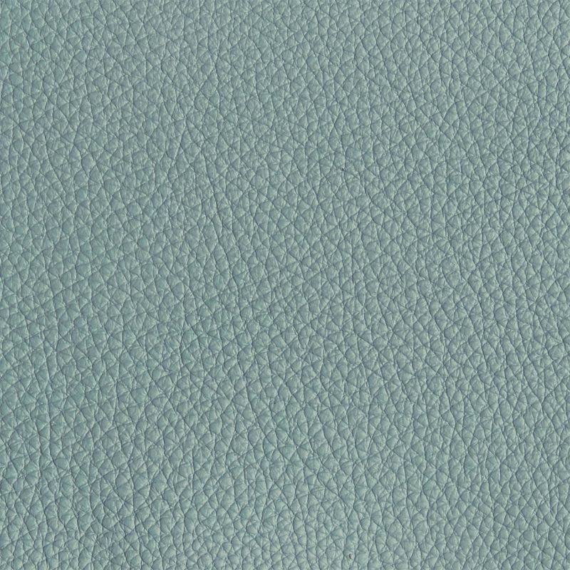 Leather material swatch