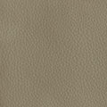 Leather material swatch
