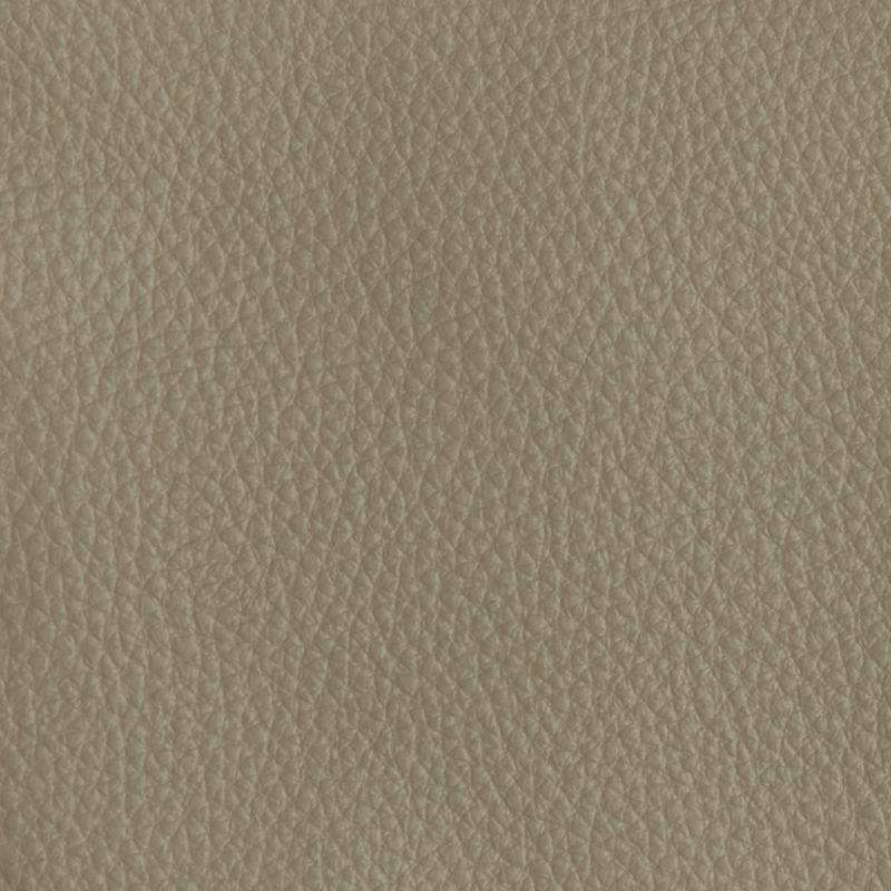 Leather material swatch