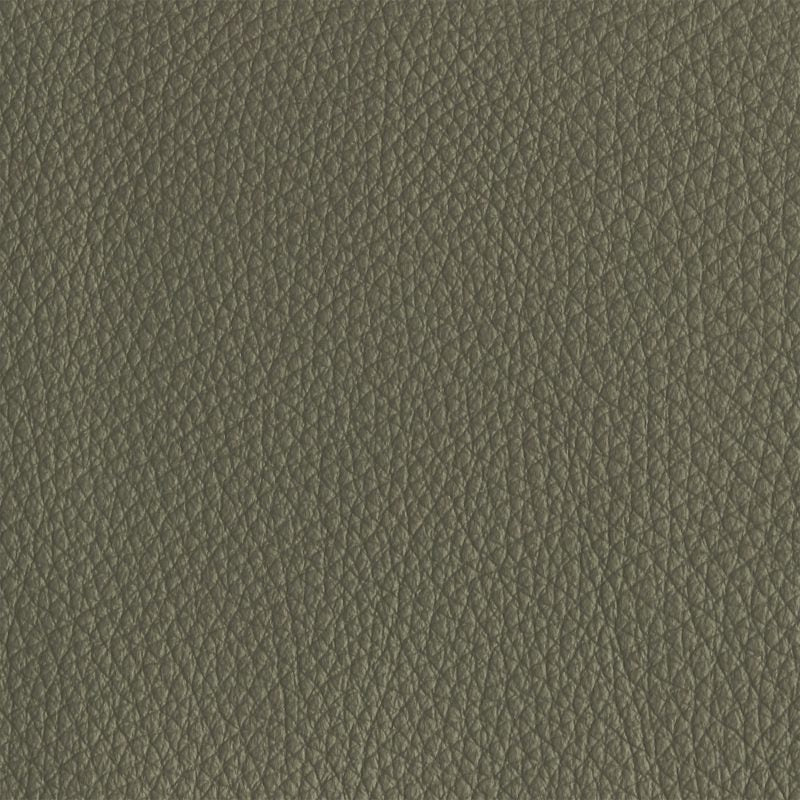 Leather material swatch