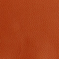 Leather material swatch