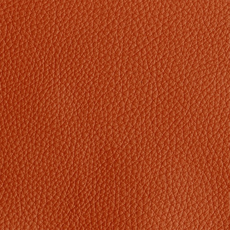 Leather material swatch