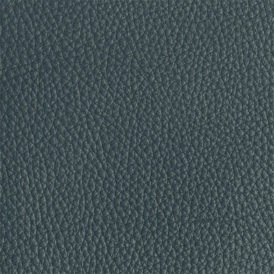 Leather material swatch