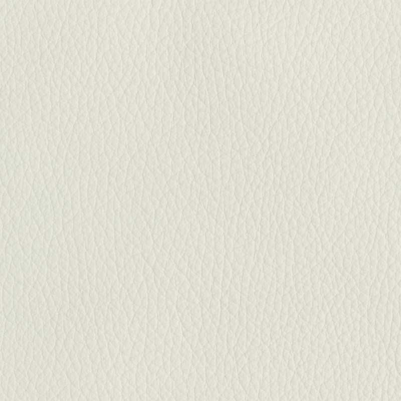 Leather material swatch