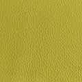 Leather material swatch