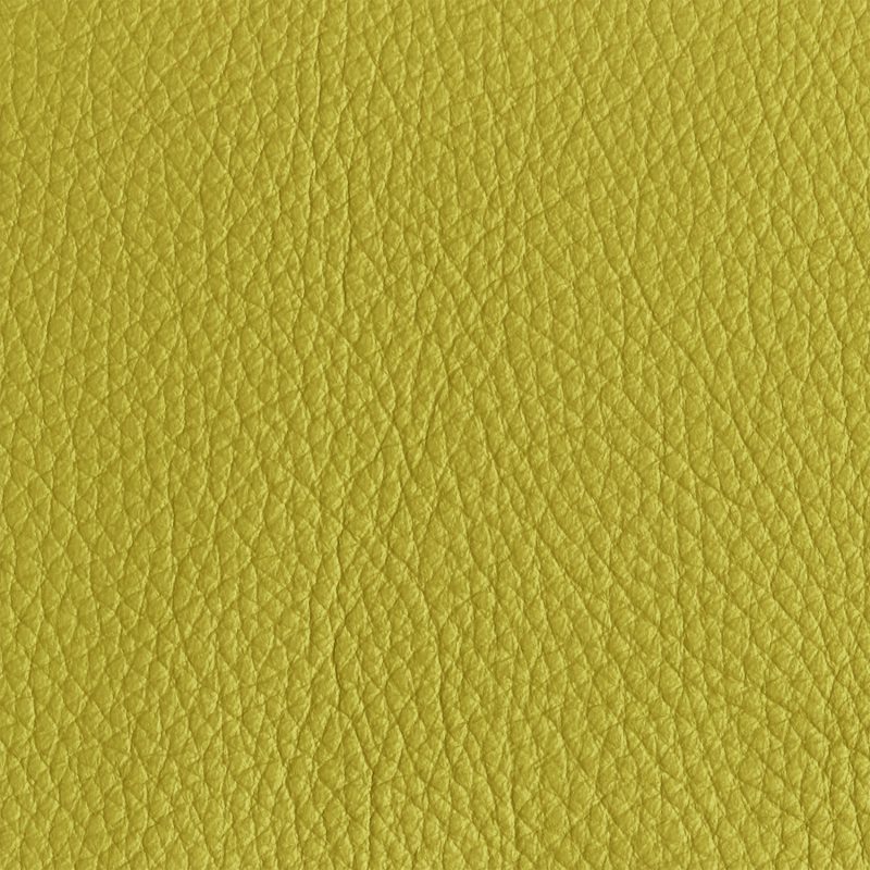 Leather material swatch