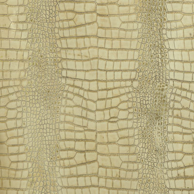 Leather material swatch