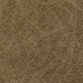 Leather material swatch