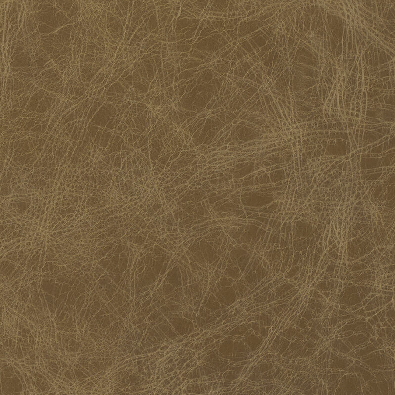 Leather material swatch