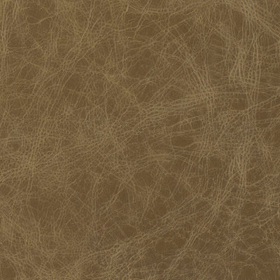 Leather material swatch