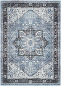 Vintage Pompeii Blue Area Rug